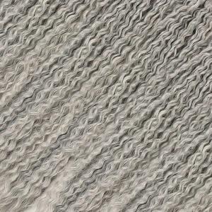 Brazilian Afro Daası  / Gri