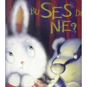 Bu Ses de Ne?