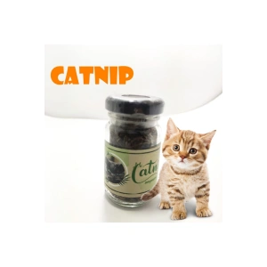 Catnip Doğal Kedi Otu - Kedi Nanesi 10GR (74)