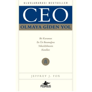 Ceo Olmaya Giden Yol