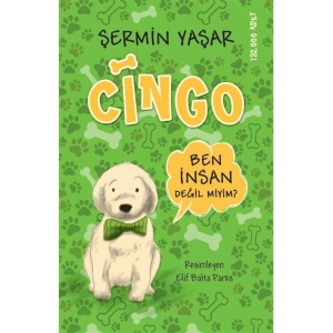 Cingo