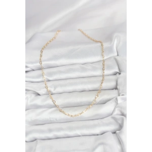 CM 14K Gold Renk Kalp Zincirli Kadın Kolye