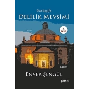 Darüşşifa - Delilik Mevsimi