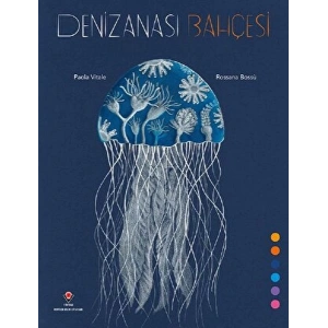 Denizanası Bahçesi