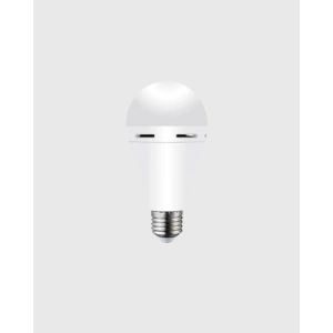 DL2030 Şarjlı LED Ampul