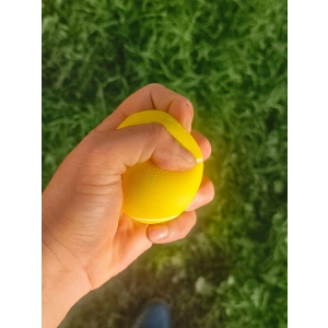 El Bilek Güçlendirme Topu