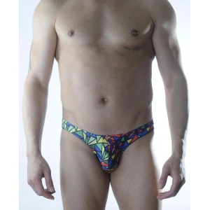 Erkek Renkli Desenli Slip İç Çamaşırı