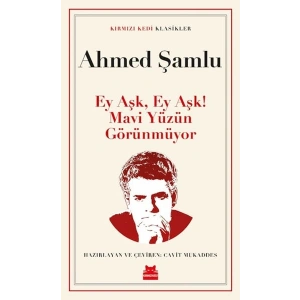 Ey Aşk, Ey Aşk! Mavi Yüzün Görünmüyor