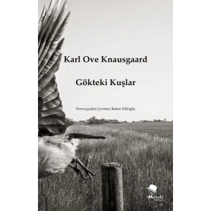 Gökteki Kuşlar