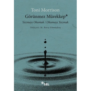 Görünmez Mürekkep Yazmayı Okumak / Okumayı Yazmak