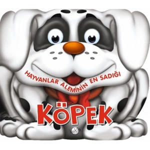 Hayvanlar Aleminin En Sadığı Köpek