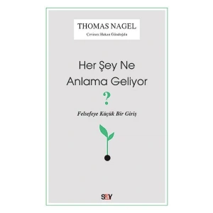 Her Şey Ne Anlama Geliyor?