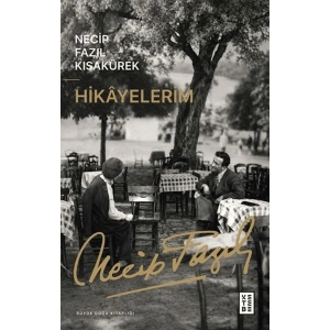 Hikayelerim