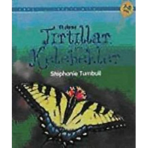 İlk Okuma - Tırtıllar ve Kelebekler