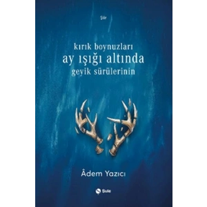 Kırık Boynuzları Ay Işığı Altında Geyik Sürülerinin