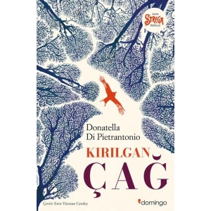 Kırılgan Çağ