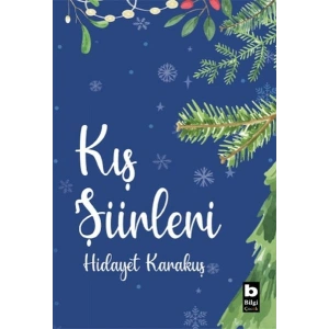 Kış Şiirleri