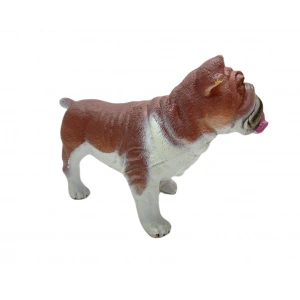 Köpekler - Amerikan Bulldog Cinsi Köpek  - 1 ADET