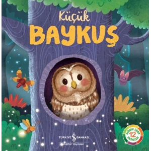 Küçük Baykuş - Doğanın Eşsiz Hikayeleri 12