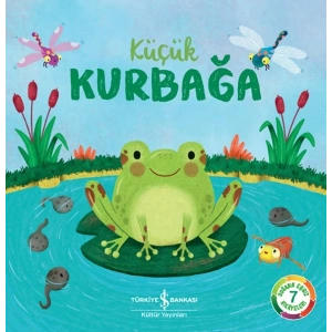 Küçük Kurbağa – Doğanın Eşsiz Hikayeleri 7