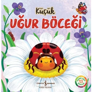 Küçük Uğur Böceği - Doğanın Eşsiz Hikayeleri 13