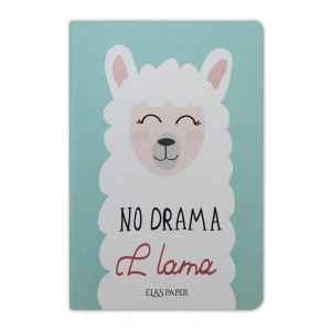 Lama Notebook Su Yeşili - Defter