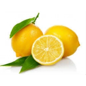 Limon Bonesi / 500 Adet /  Çayı Bonesi