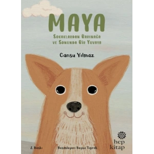 Maya - Sokaklardan Barınağa ve Sonunda Bir Yuvaya