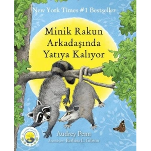 Minik Rakun Arkadaşında Yatıya Kalıyor