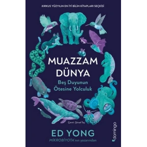 Muazzam Dünya Beş Duyunun Ötesine Yolculuk