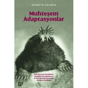 Muhteşem Adaptasyonlar