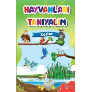 Muhteşem Çizimler ve Kolay Anlatım ile Hayvanları Tanıyalım Kuşlar