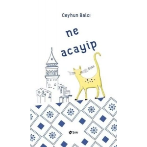 Ne Acayip