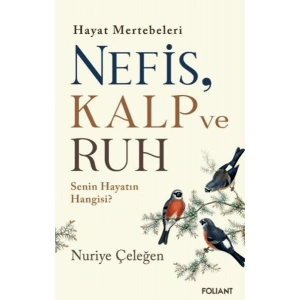Nefis, Kalp ve Ruh