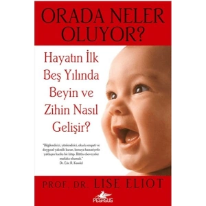 Orada Neler Oluyor