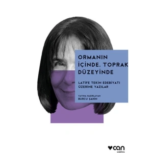 Ormanın İçinde, Toprak Düzeyinde Latife Tekin Edebiyatı Üzerine
