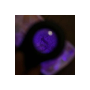 Para Kontrol Işıklı Büyüteçli Fener