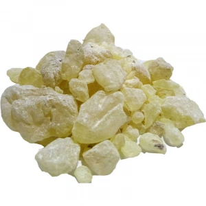 Sandz Sakızı Doğal 100 Gr Paket