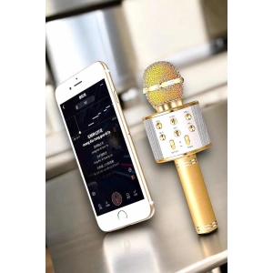 Şarjlı ve Uzun Pil Ömürlü Karaoke Mikrofon USB Bellek Destekli, Profesyonel Ses