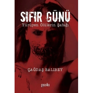 Sıfır Günü