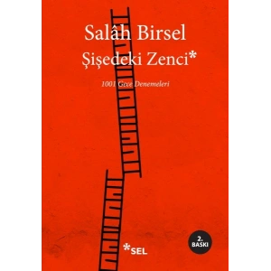 Şişedeki Zenci