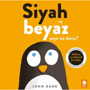 Siyah ve Beyaz Şeye Ne Denir?