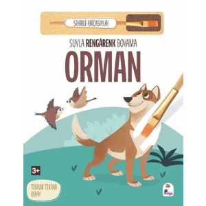 Suyla Rengarenk Boyama - Orman (Sihirli Fırçasıyla)