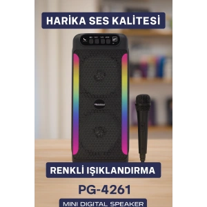 Taşınabilir Şarjlı Hoparlör USB, SD Kart, AUX Girişli