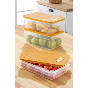 Tupper Model  Vakumlu  Mikrodalga Buzluk Saklama Kabı 3,8Lt (74)