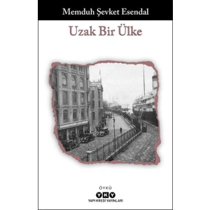 Uzak Bir Ülke