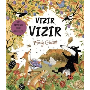 Vızır Vızır