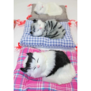Yastıkta Uyuyan Kedi Sesli Alk25