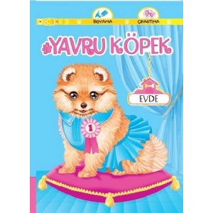 Yavru Köpek Evde