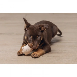 Yru Köpek Sumo Mını Dental Oyuncak Xs 3-6 kg